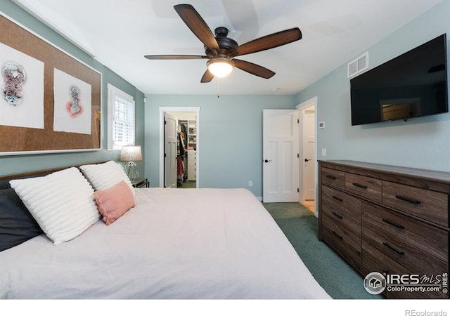 carpeted bedroom featuring a walk in closet, ceiling fan, and a closet