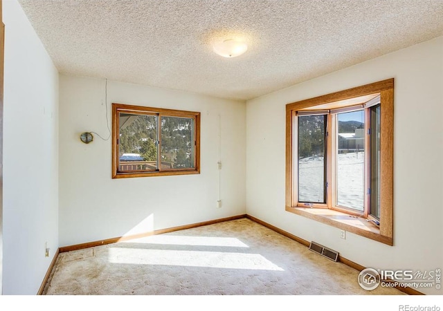 spare room with plenty of natural light, carpet, and a textured ceiling