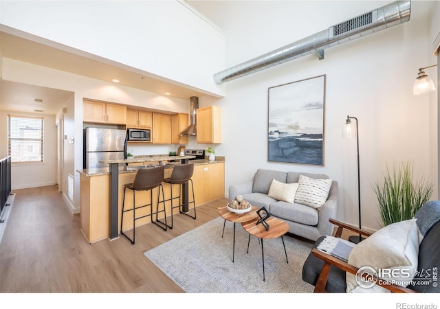 living room featuring a towering ceiling and light hardwood / wood-style flooring