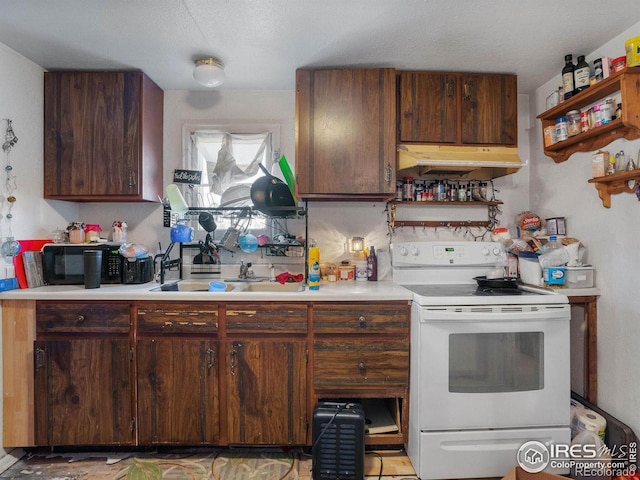 kitchen featuring dark brown cabinetry, white electric stove, and sink