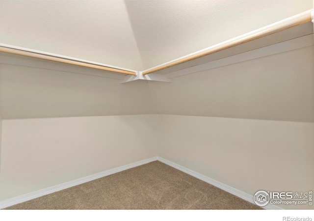 spacious closet with carpet flooring and vaulted ceiling