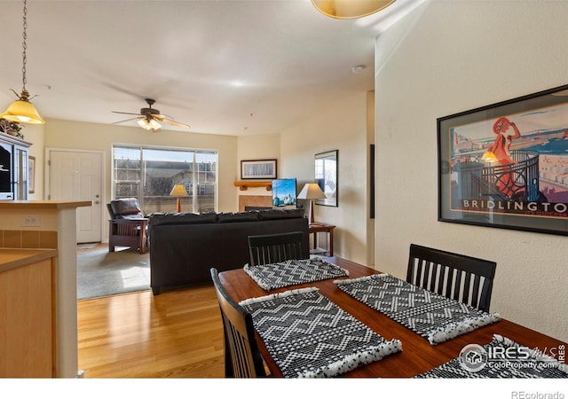 dining room with ceiling fan, a healthy amount of sunlight, and light hardwood / wood-style flooring