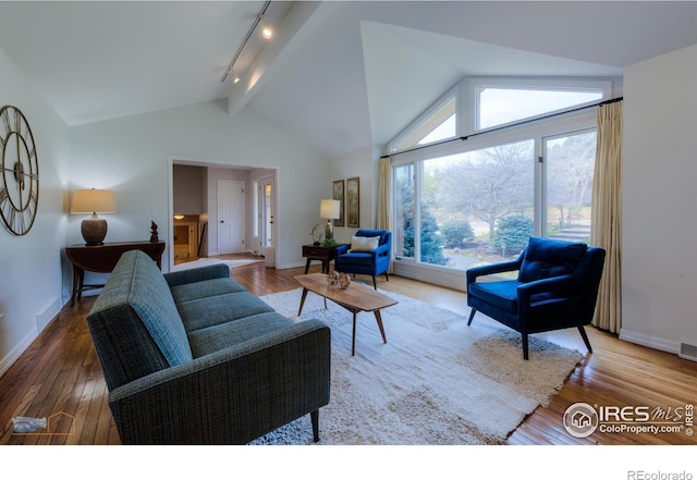 living room featuring baseboards, high vaulted ceiling, wood finished floors, and track lighting