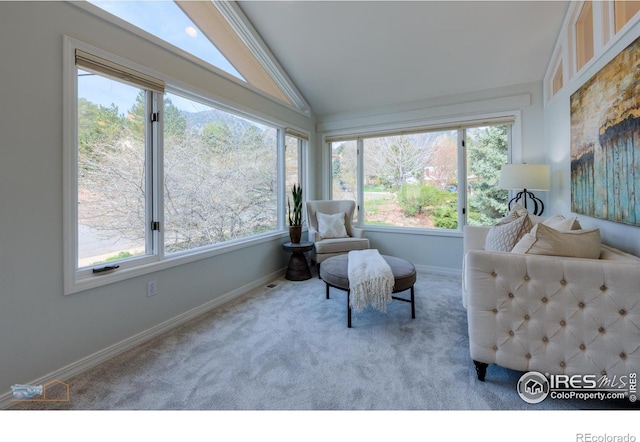 interior space featuring lofted ceiling