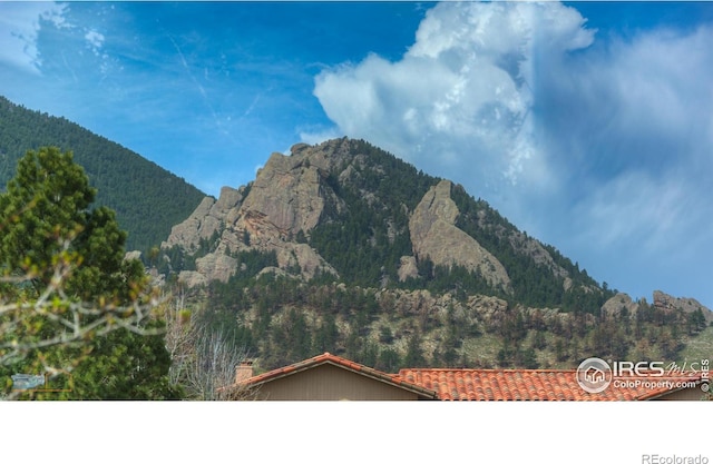 view of mountain feature featuring a view of trees