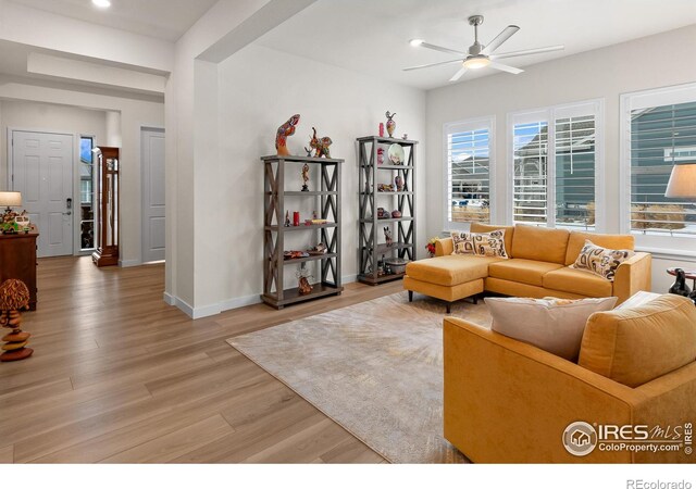 living room with hardwood / wood-style flooring and ceiling fan