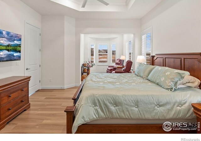 bedroom featuring a raised ceiling and light hardwood / wood-style floors