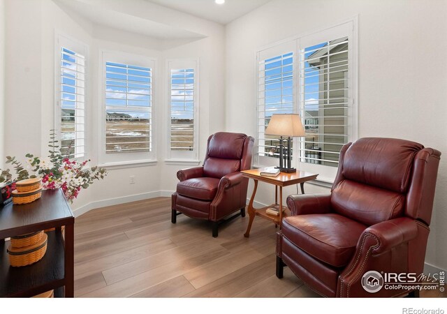 living area with light hardwood / wood-style flooring