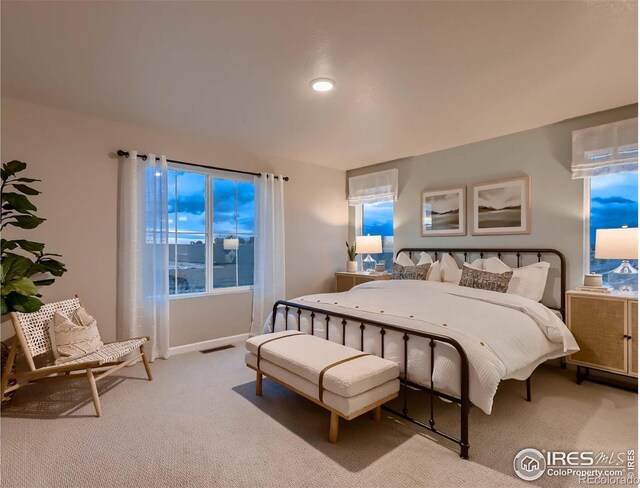 carpeted bedroom with a wall unit AC