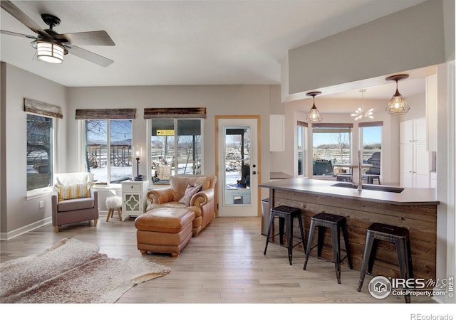 living room with a healthy amount of sunlight, ceiling fan with notable chandelier, and light wood-type flooring