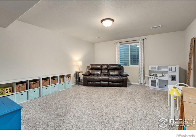 living room featuring carpet flooring and a textured ceiling