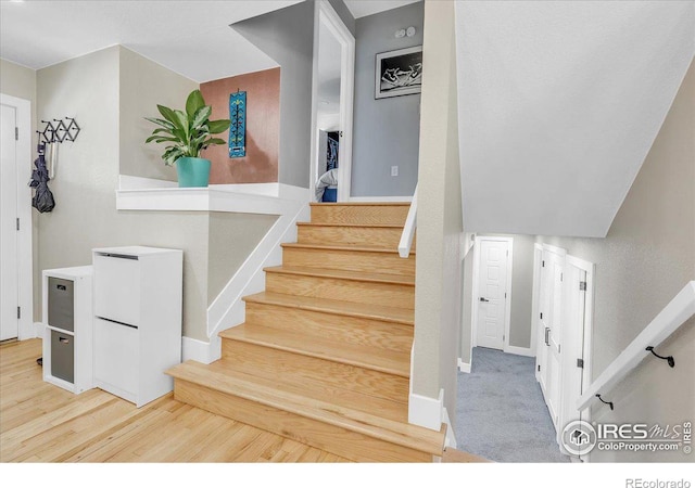 staircase featuring hardwood / wood-style floors