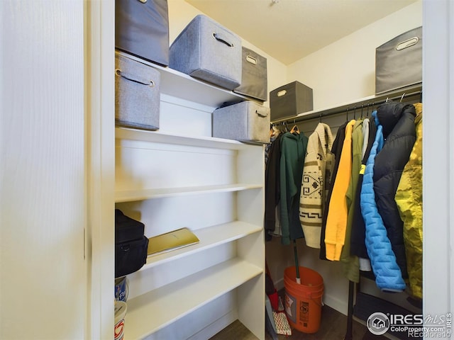 view of spacious closet