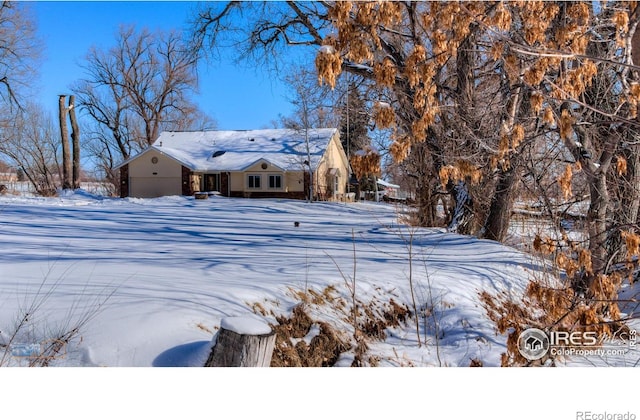 view of yard layered in snow