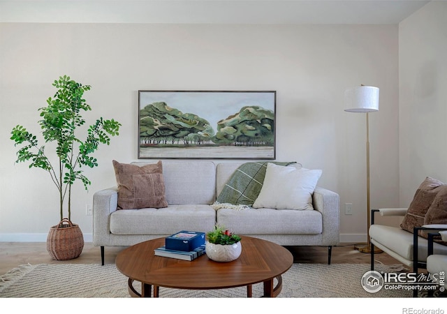 living room featuring hardwood / wood-style flooring