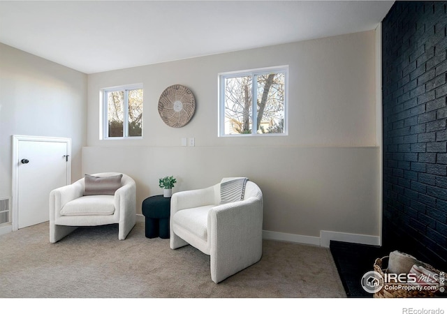 sitting room featuring carpet floors