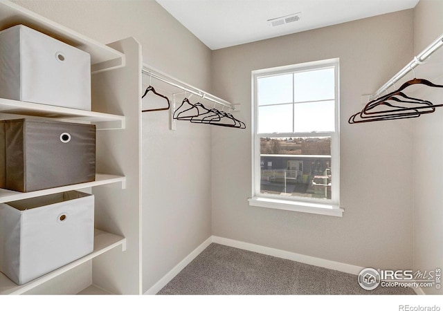 spacious closet featuring carpet floors