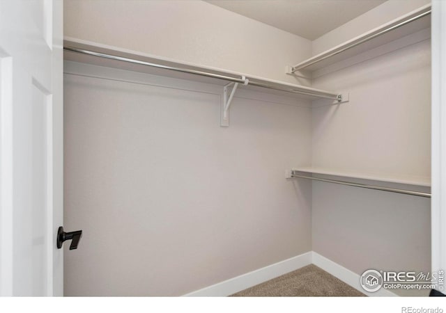 7172 Feather Reed Dr, Wellington, CO 80549 - spacious closet featuring carpet flooring