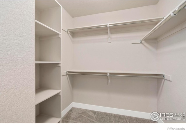 7172 Feather Reed Dr, Wellington, CO 80549 - walk in closet with carpet floors