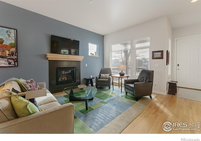 living room featuring hardwood / wood-style floors and a fireplace