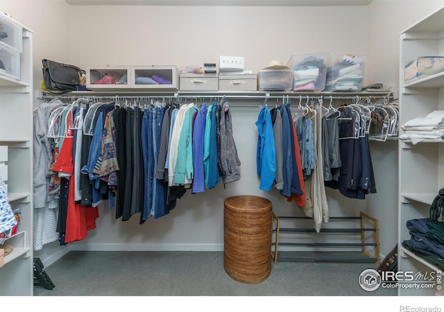 walk in closet with carpet floors