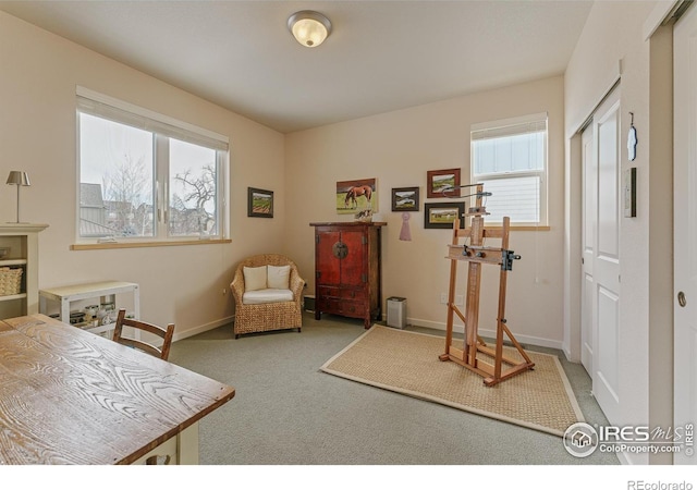 sitting room featuring carpet floors