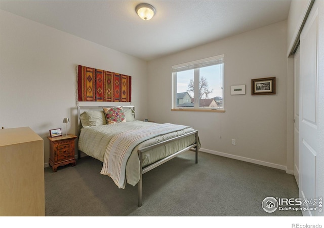 bedroom featuring carpet floors and a closet