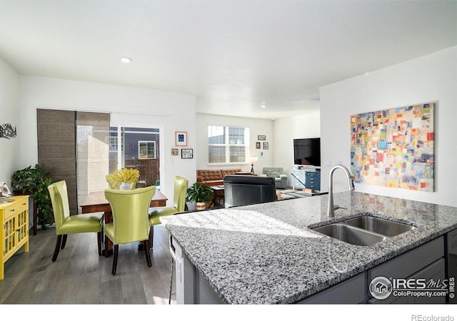 kitchen featuring light stone counters, wood finished floors, open floor plan, and a sink