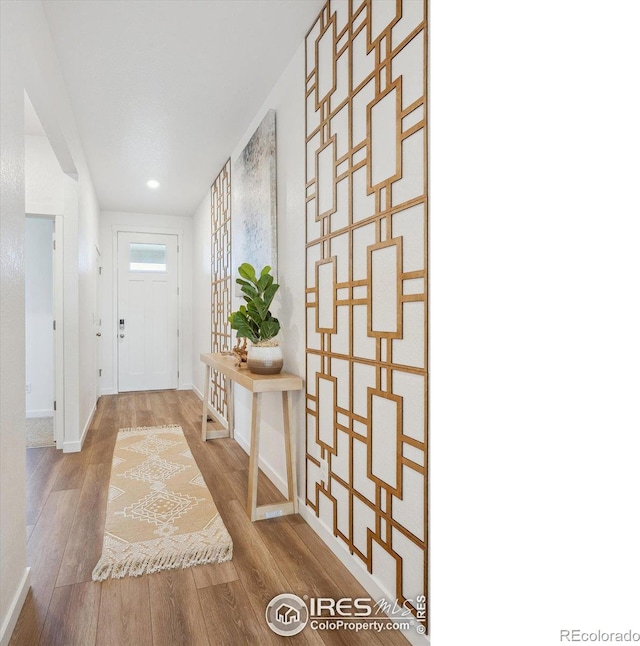 foyer entrance with wood-type flooring