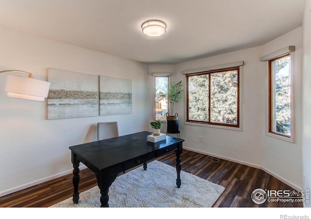 office space featuring plenty of natural light and dark hardwood / wood-style flooring