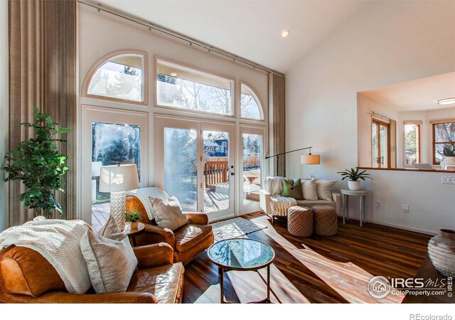 living room featuring hardwood / wood-style flooring, plenty of natural light, and high vaulted ceiling