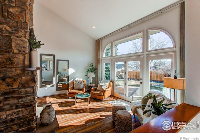 living room featuring wood-type flooring and high vaulted ceiling