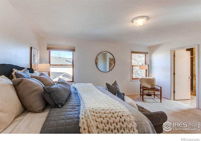 bedroom with multiple windows and light carpet