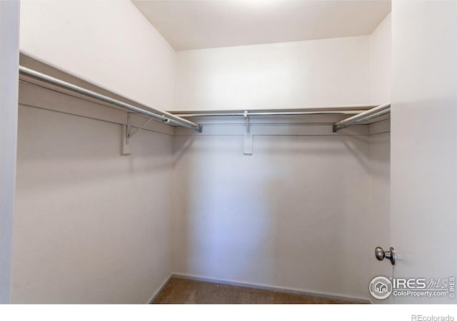 spacious closet with dark colored carpet