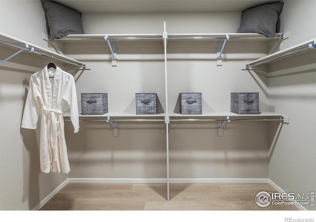 walk in closet with hardwood / wood-style floors