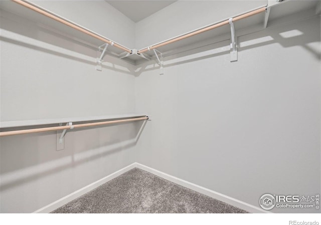 spacious closet with carpet floors