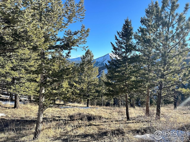 61 Rim Rd, Boulder CO, 80302 land for sale