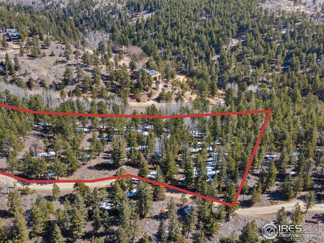 61 Rim Rd, Boulder, CO 80302 - photo 7
