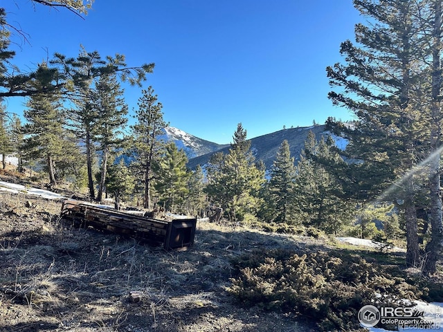 61 Rim Rd, Boulder, CO 80302 - photo 3