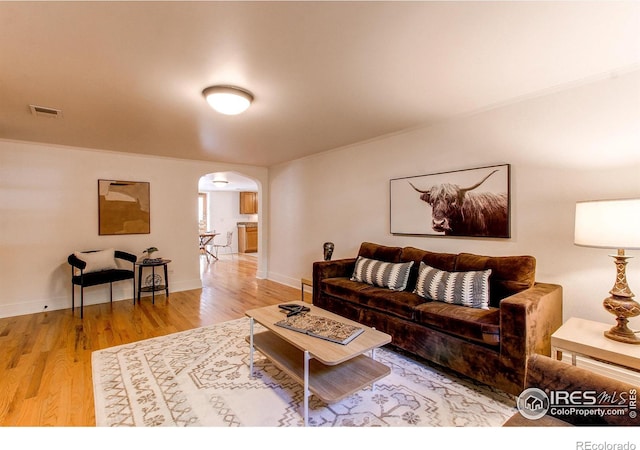 living room with hardwood / wood-style floors