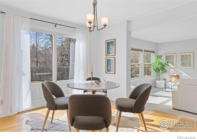 dining area featuring an inviting chandelier, a wealth of natural light, and light hardwood / wood-style floors