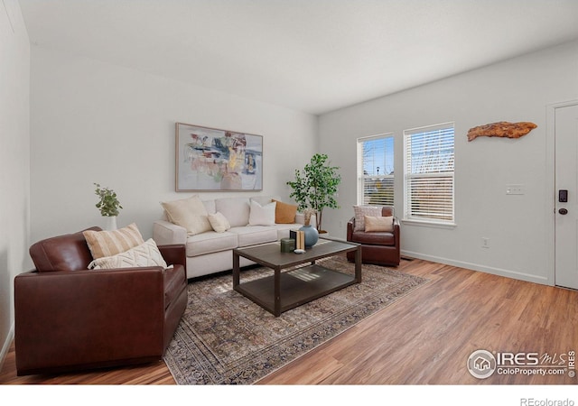 living room featuring hardwood / wood-style floors