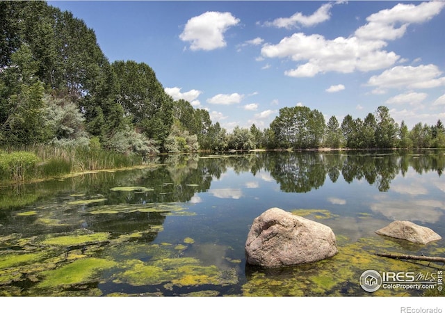 property view of water