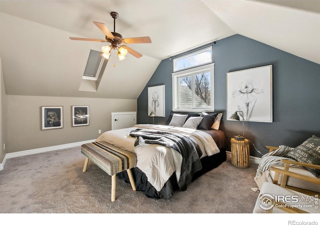 1005 Laporte Ave, Fort Collins, CO 80521 - photo 19
