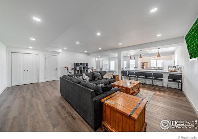 living room featuring hardwood / wood-style flooring