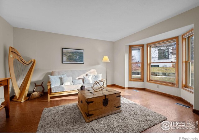 living room with hardwood / wood-style floors