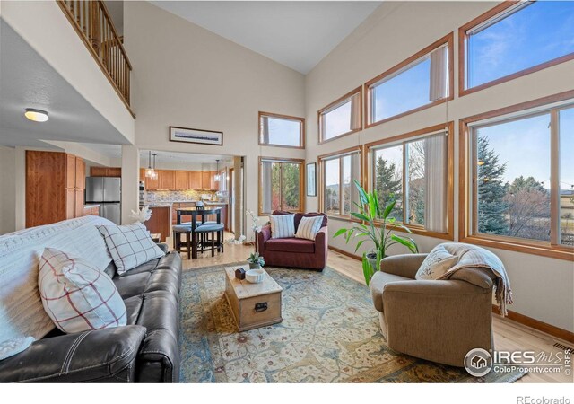 living room featuring hardwood / wood-style floors and a towering ceiling