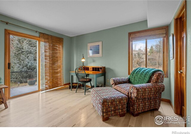 living area with light wood-type flooring