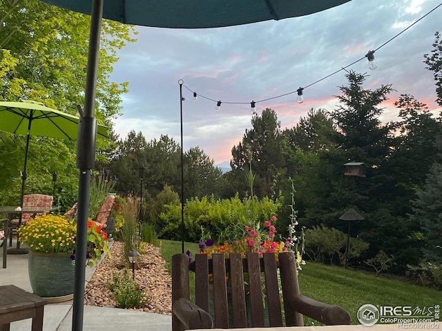 view of yard at dusk