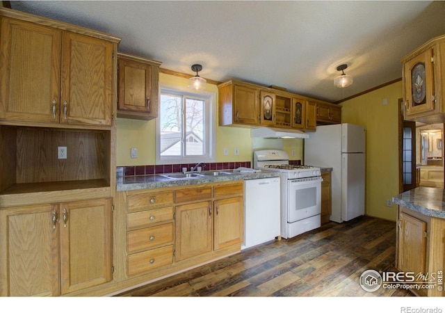 kitchen with dark hardwood / wood-style floors, crown molding, sink, and white appliances